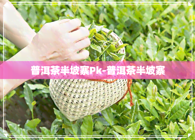 普洱茶半坡寨Pk-普洱茶半坡寨