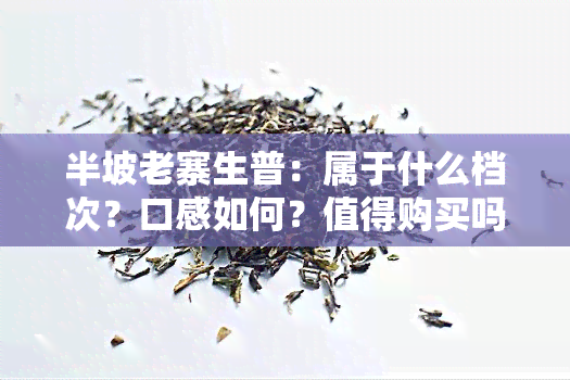 半坡老寨生普：属于什么档次？口感如何？值得购买吗？