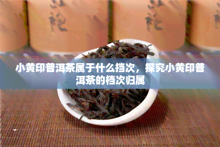 小黄印普洱茶属于什么挡次，探究小黄印普洱茶的档次归属