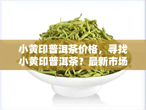 小黄印普洱茶价格，寻找小黄印普洱茶？最新市场价格一览！