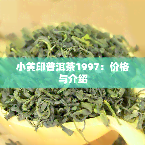 小黄印普洱茶1997：价格与介绍