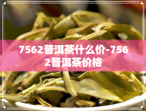 7562普洱茶什么价-7562普洱茶价格