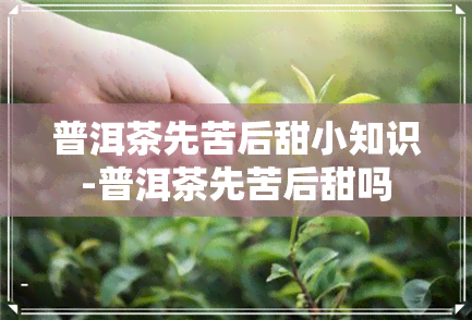 普洱茶先苦后甜小知识-普洱茶先苦后甜吗