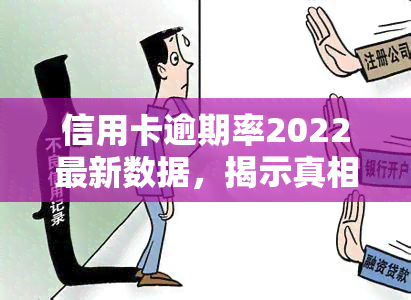 信用卡逾期率2022最新数据，揭示真相：2022年信用卡逾期率最新数据报告