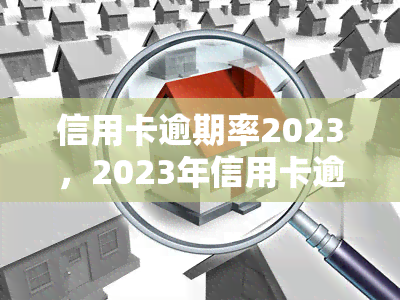 信用卡逾期率2023，2023年信用卡逾期率预测与分析