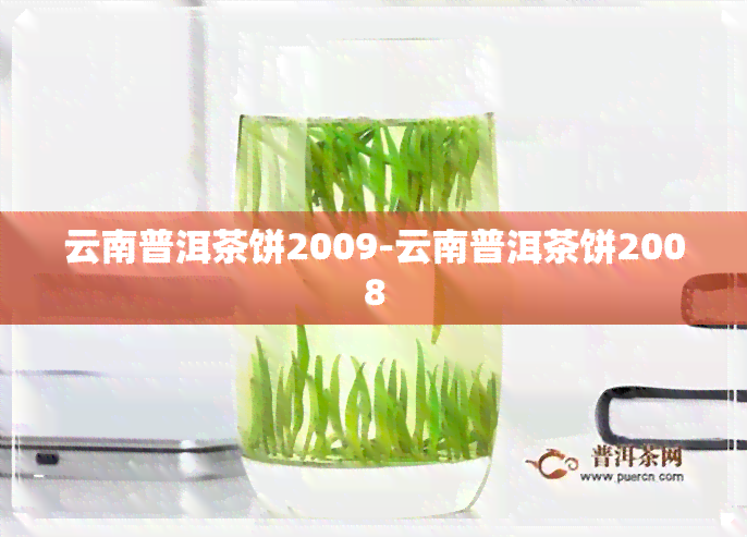 云南普洱茶饼2009-云南普洱茶饼2008