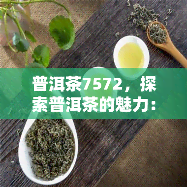 普洱茶7572，探索普洱茶的魅力：7572的口感与历背景