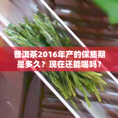 普洱茶2016年产的保质期是多久？现在还能喝吗？