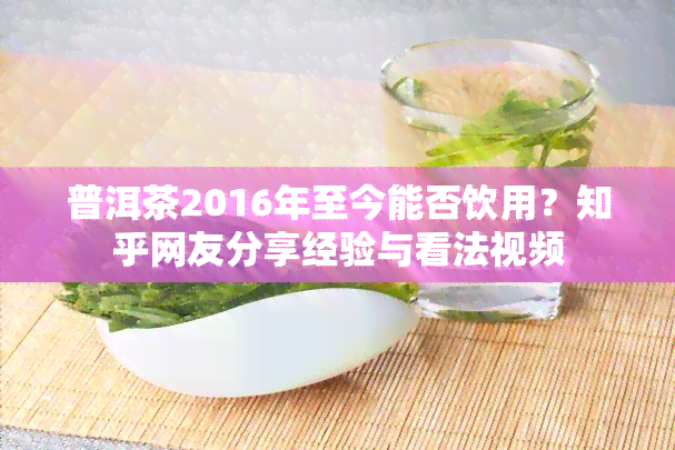 普洱茶2016年至今能否饮用？知乎网友分享经验与看法视频