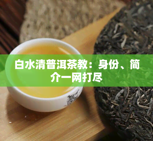 白水清普洱茶教：身份、简介一网打尽