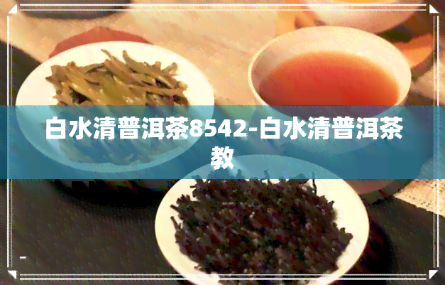 白水清普洱茶8542-白水清普洱茶教