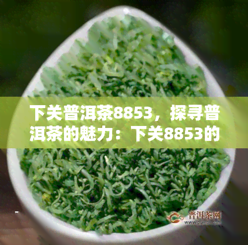 下关普洱茶8853，探寻普洱茶的魅力：下关8853的传奇故事