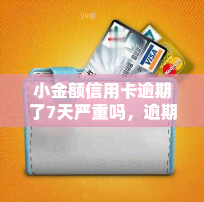 小金额信用卡逾期了7天严重吗，逾期7天的小额信用卡：问题的严重性评估