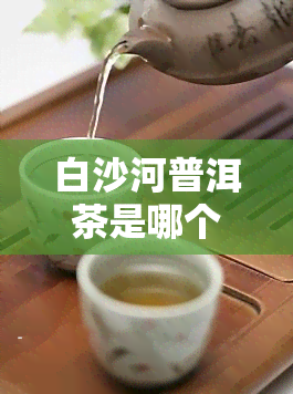 白沙河普洱茶是哪个产区，探寻白沙河普洱茶的产地源头