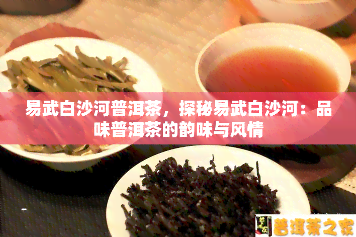 易武白沙河普洱茶，探秘易武白沙河：品味普洱茶的韵味与风情