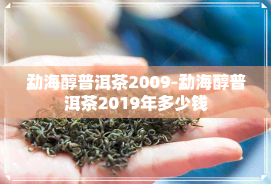 勐海醇普洱茶2009-勐海醇普洱茶2019年多少钱