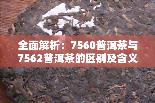 全面解析：7560普洱茶与7562普洱茶的区别及含义