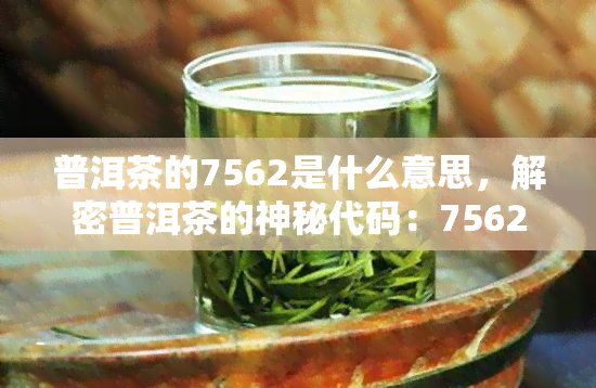 普洱茶的7562是什么意思，解密普洱茶的神秘代码：7562代表什么？