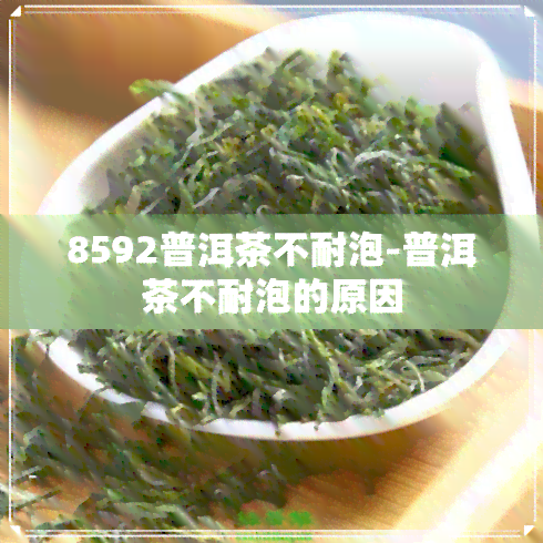 8592普洱茶不耐泡-普洱茶不耐泡的原因