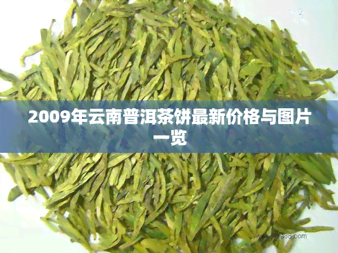 2009年云南普洱茶饼最新价格与图片一览