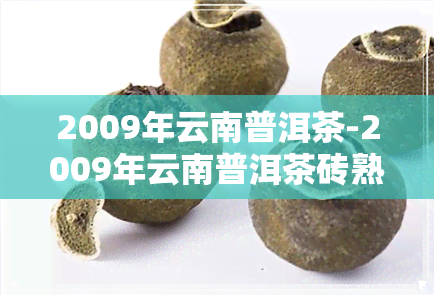 2009年云南普洱茶-2009年云南普洱茶砖熟茶价格