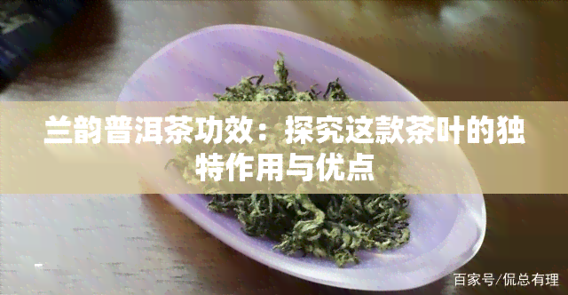 兰韵普洱茶功效：探究这款茶叶的独特作用与优点