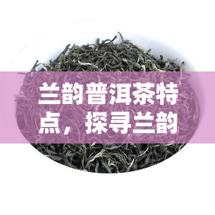 兰韵普洱茶特点，探寻兰韵普洱茶的独特魅力