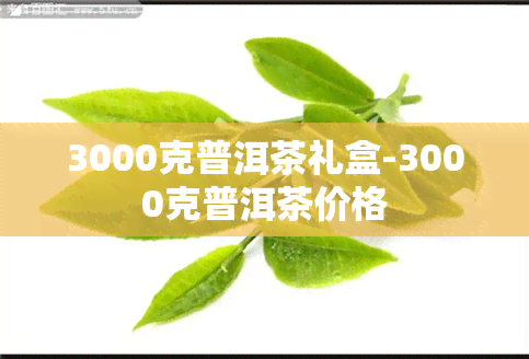 3000克普洱茶礼盒-3000克普洱茶价格