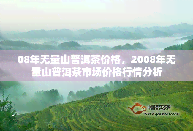 08年无量山普洱茶价格，2008年无量山普洱茶市场价格行情分析