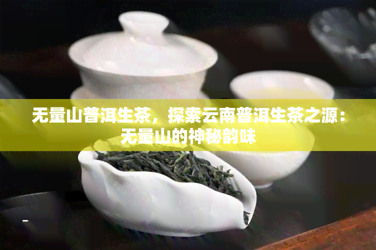 无量山普洱生茶，探索云南普洱生茶之源：无量山的神秘韵味