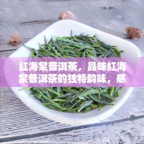 红海棠普洱茶，品味红海棠普洱茶的独特韵味，感受云南的茶文化魅力