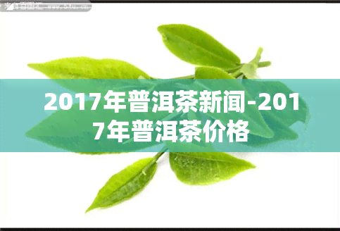 2017年普洱茶新闻-2017年普洱茶价格