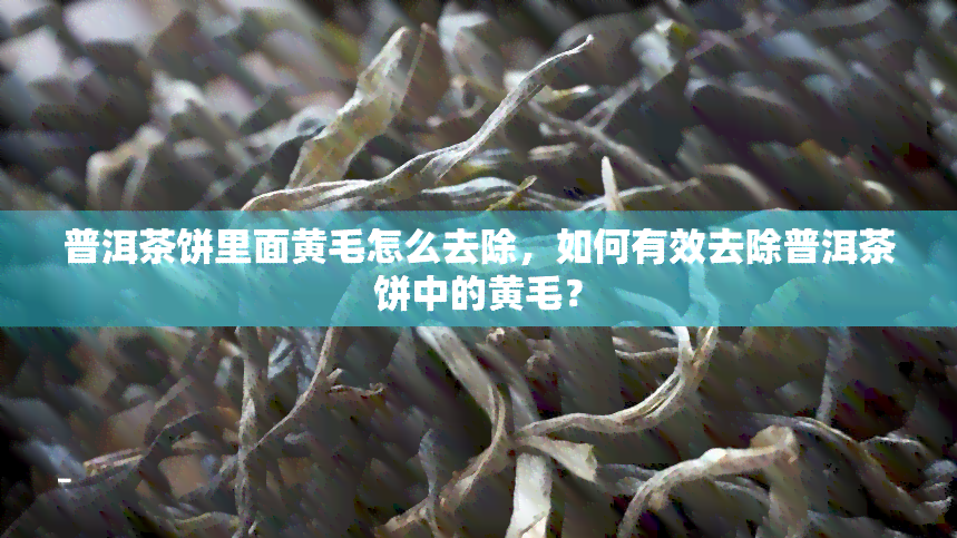 普洱茶饼里面黄毛怎么去除，如何有效去除普洱茶饼中的黄毛？