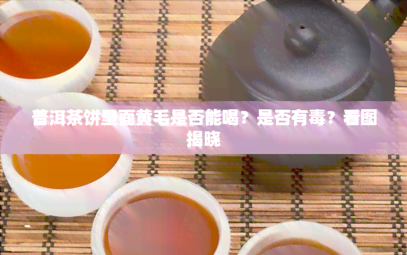 普洱茶饼里面黄毛是否能喝？是否有？看图揭晓