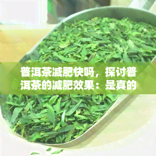 普洱茶减肥快吗，探讨普洱茶的减肥效果：是真的快速有效吗？