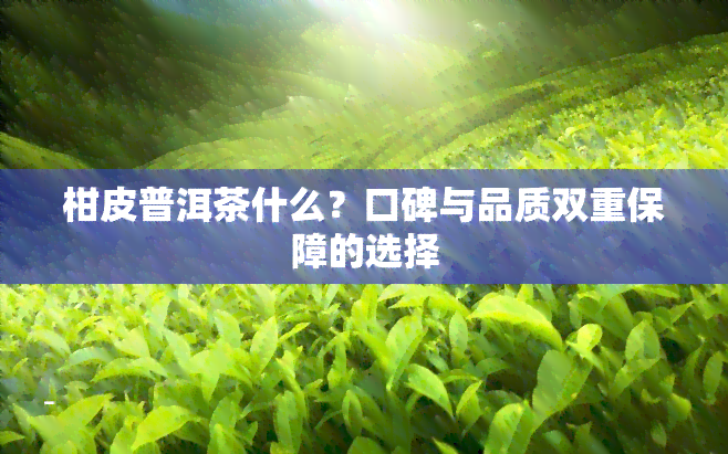 柑皮普洱茶什么？口碑与品质双重保障的选择