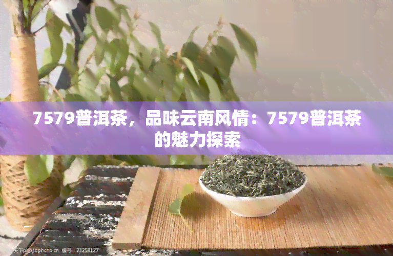 7579普洱茶，品味云南风情：7579普洱茶的魅力探索