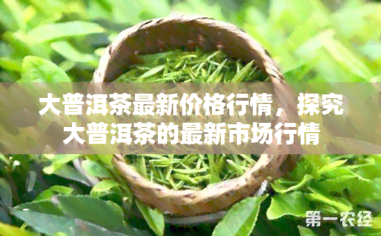 大普洱茶最新价格行情，探究大普洱茶的最新市场行情