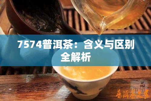 7574普洱茶：含义与区别全解析