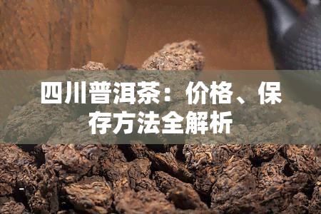 四川普洱茶：价格、保存方法全解析