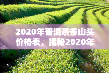 2020年普洱茶各山头价格表，揭秘2020年普洱茶市场：各山头价格大公开！