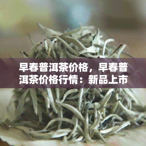 早春普洱茶价格，早春普洱茶价格行情：新品上市，品味珍稀好茶！