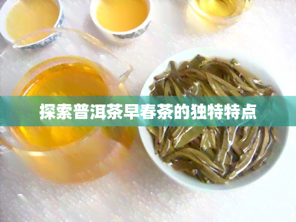 探索普洱茶早春茶的独特特点