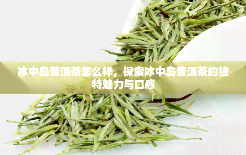 冰中岛普洱茶怎么样，探索冰中岛普洱茶的独特魅力与口感