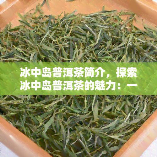 冰中岛普洱茶简介，探索冰中岛普洱茶的魅力：一种独特的茶叶体验