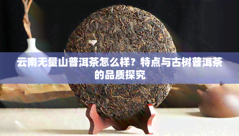 云南无量山普洱茶怎么样？特点与古树普洱茶的品质探究