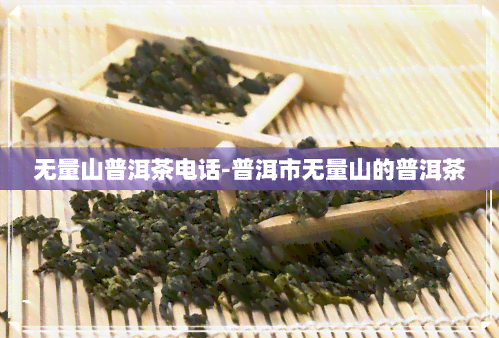 无量山普洱茶电话-普洱市无量山的普洱茶