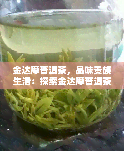 金达摩普洱茶，品味贵族生活：探索金达摩普洱茶的美妙世界