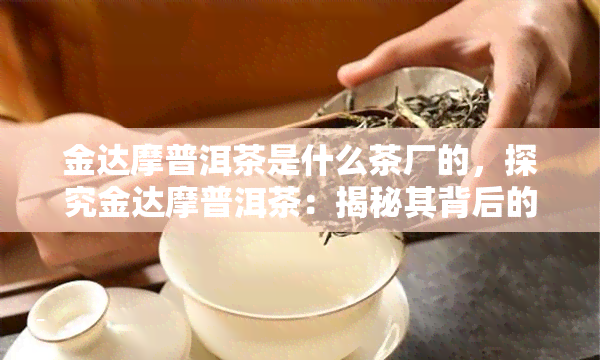 金达摩普洱茶是什么茶厂的，探究金达摩普洱茶：揭秘其背后的故事与制作工艺