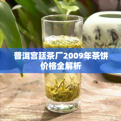 普洱宫廷茶厂2009年茶饼价格全解析